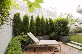A Light And Spacious Yet Private And Intimate Area For Guests Terrassensichtschutz Sichtschutz Pflanzen Sichtschutz Terrasse