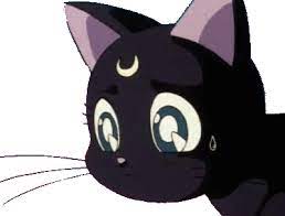 Sailor Moon Sailor Moon Gif Sailor Moon Cat Sailor Moon Movie