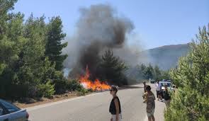 Και εντελώς δωρεάν για όλη την οικογένεια. Qtzc Kvwowz23m