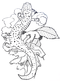 Some breathe with lungs, some breathe with gills, and some even breathe with skin because they don't have lungs or gills. Coloring Pages Carnegie Museum Of Natural History