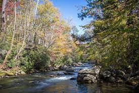7 Must Hike Trails In The Great Smoky Mountains National Park The Wander Guide Smoky Mountains Great Smoky Mountains Smokey Mountains National Park