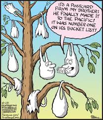 Free Range By Bill Whitehead For October 28 2019 Gocomics Com Funny Holiday Cards Funny Pictures Cartoons Comics