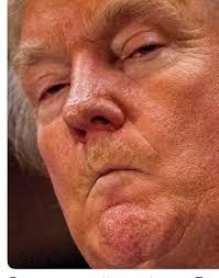 ED Lewis (@EDLewis153788)