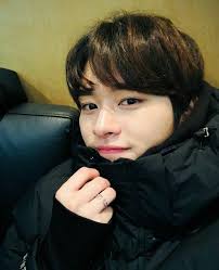 Dms Minsung Viii Lee Know Lee Know Stray Kids Minho