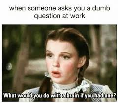 The Daily Fail Life S Not Always About Winning Funny Memes About Work Work Memes Work Humor