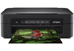 Imprimante multifonction epson stylus sx105. Epson Drivers For Macos Catalina
