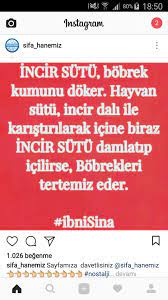 Gulsen Boz Adli Kullanicinin Saglik Panosundaki Pin Instagram Bilgi Saglik