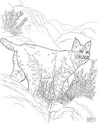 Canada Lynx Super Coloring Desert Animals Coloring Animal Coloring Pages Farm Animal Coloring Pages