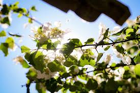 Benjamin Craine (@benjamincraine) • Instagram photos and videos