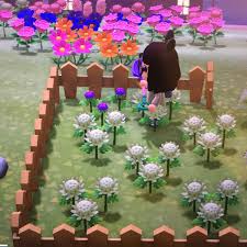 Mum, lily, and cosmos (white) ft i have the following seeds in my inventory: Whippy On Twitter Purple Mums Now Confirmed White X White Purple