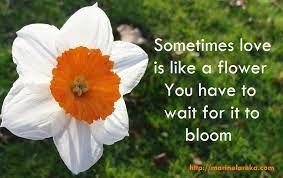 Browse poems about flowers with our unique collection of high quality flower poems. Ø§Ù„ØªØ¹Ø·ÙŠÙ„ Ù„Ù…Ø§ Ù„Ø§ Ø¹Ø§Ù…Ù„ Ø³ÙŠØ¦ Short Flower Poem Designedbysea Com