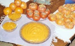 Another use for a persimmon tree is reportedly as a remedy for the itch of poison ivy. Persimmon Seeds