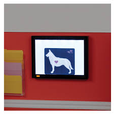 Places cartersville, georgia medical and healthmedical centrehospital pet vet clinic of cartersville. Our Generation Pet Vet Clinic