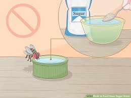 How To Feed Bees Sugar Water 13 Steps With Pictures Wikihow