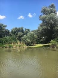 Zwischen 1858 und 1902 wurde er reguliert und sein strombett vertieft. Das Donaudelta Die Donau Entlang