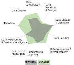 データマネジメント成熟度モデル （DMM） : データマネジメント用語解説7 | Metafindコンサルティング
