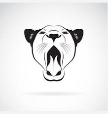 This tutorial shows the sketching and drawing steps from start to finish. Female Lion Vector Images Over 810