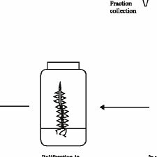 Office of the union ‐ upov. Pdf Breeding For Disease Resistance A Journey From Conventional To Molecular Approach