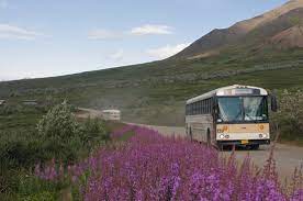 Denali national park shuttle service. Doyon Aramark Joint Venture Bus Tours Denali Nationalpark Und Reservat Aktuelle 2021 Lohnt Es Sich Mit Fotos