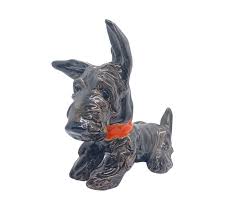 Image result for skotský teriér