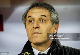 7,948 Koller Stock Photos, High-Res Pictures, and Images