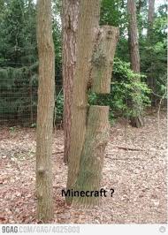Pin By Ash E On Minecraft Minecraft Funny Minecraft Memes Minecraft Comics