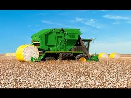 Cotton price per 1 ounce. Cotton Harvesting Machines Youtube