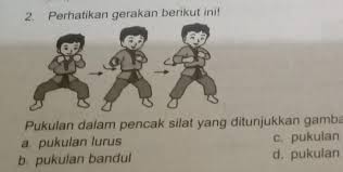 Teknik ini akan menyumbangkan nilai jika mengenai lawan. 2 Perhatikan Gerakan Berikut Ini Pukulan Dalam Pencak Silat Yang Ditunjukkan Gambar Di Atas Brainly Co Id