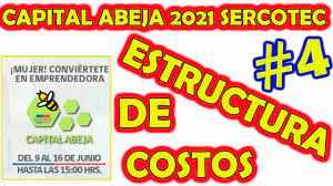 Columna / la fuerza del emprendimiento femenino en chile 2.0. Capital Abeja Sercotec 2021 Como Postular A Sercotec 2021 Estructura De Costos Parte 4 Youtube