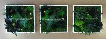 Trio Triptyque Cadres Stabilises Feuilles De Plantes Mur Vegetal Decoration Plante