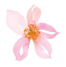 12 easy watercolour painting tutorials for beginners. Gorgeous Easy Watercolor Flowers Perfect For Beginners