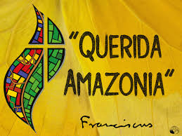 Para quiénes es, o no es querida la «Querida Amazonía»? – Diario ...