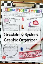 Digestive Human Body System Reading And Sketch Note Activity In 2020 Body Systems Circulatory System Students Health