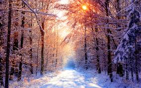 Daily Wallpaper Snowy Forest Road On A Beautiful Winter Day I Like To Waste My Time Deer on mountain wallpaper, silhouette of trees under white sky illustration. daily wallpaper snowy forest road on a