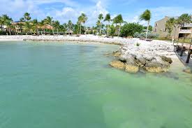 A prized stop on the florida birding trail, bahia honda state park is loaded with wildlife and vantage points for taking it all in. 8 Best Beaches In The Florida Keys