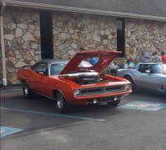 Image result for Golden Fawn 1977 Dodge