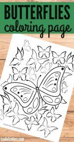 Coloring pictures of butterflies are great enjoy a high level of detail in this vector art. Butterfly Coloring Page For Adults Trail Of Colors