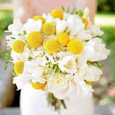 Billy Buttons Flower Seeds Craspedia Globosa 40 Seeds In 2021 Spring Wedding Bouquets Wedding Bouquets Wedding Flowers