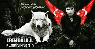 'eren ne tepki aldı da gitti oraya'. Eren Bulbul Sehit Videos Facebook