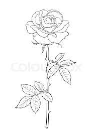 Please enter your email address receive free weekly tutorial in your email. Black And White Rose Flower With Stock Vector Colourbox