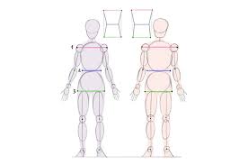 Drawing women can be difficult, be it realistic or cartoon style. Cartoon Fundamentals How To Draw The Female Form