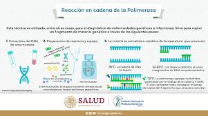 Israel Gomez على تويتر Pcr Reaccion En Cadena De La Polimerasa Qpcr Pcr En Tiempo Real Cuantitativo Rt Pcr Pcr Con Transcripcion Reversa Qrt Pcr Combinacion De Qpcr Y Rt Pcr Para Detectar Sars Cov 2 Https T Co Texk5voqlq