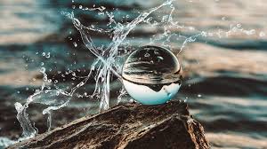 Aturan pemeliharaan ikan guppy agar tidak cepat mati. 25 Kata Kata Mutiara Bijak Tentang Air Dan Kehidupan 2021 Poskata