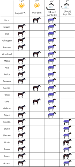 Horse Blanket Chart