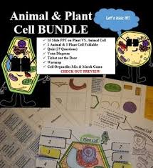 We did not find results for: Animal Cells Plant Cells Powerpoint Presentation Animal Cell Powerpoint Presentation Animal Cell Parts