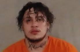 Police investigating gunshots