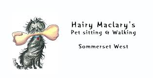 Includes bringing in mail, garbage cans, adjusting lights, etc. Pet Sitters Cape Town South Africa Pet Health Care