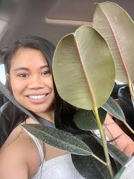 Found native rubber boa in Portland area vegetable garden