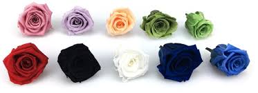 New videos every monday & thursday!instagram: What Are Preserved Flowers Flowers2thailand