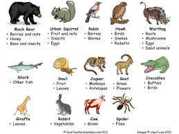 They range in size from tiny insects like ants to large creatures—like people. Mammals To Know What Is An Omnivore